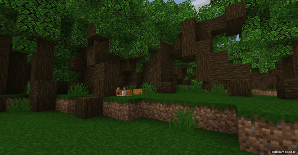 Banyan Forest — Minecraft mod, rasm 4