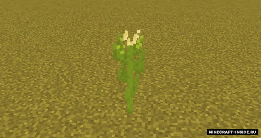 Corntopia — Minecraft mod, rasm 3