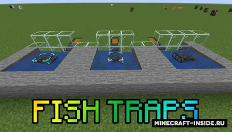 Fish Traps