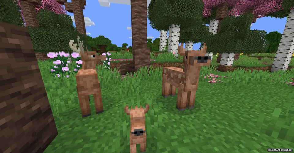 Environmental — Minecraft mod, rasm 2