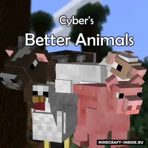 Better Animal Models