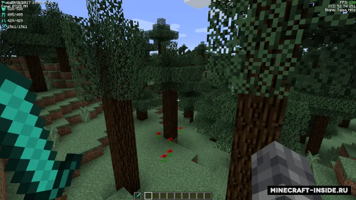 Indicatia — Minecraft mod, rasm 3
