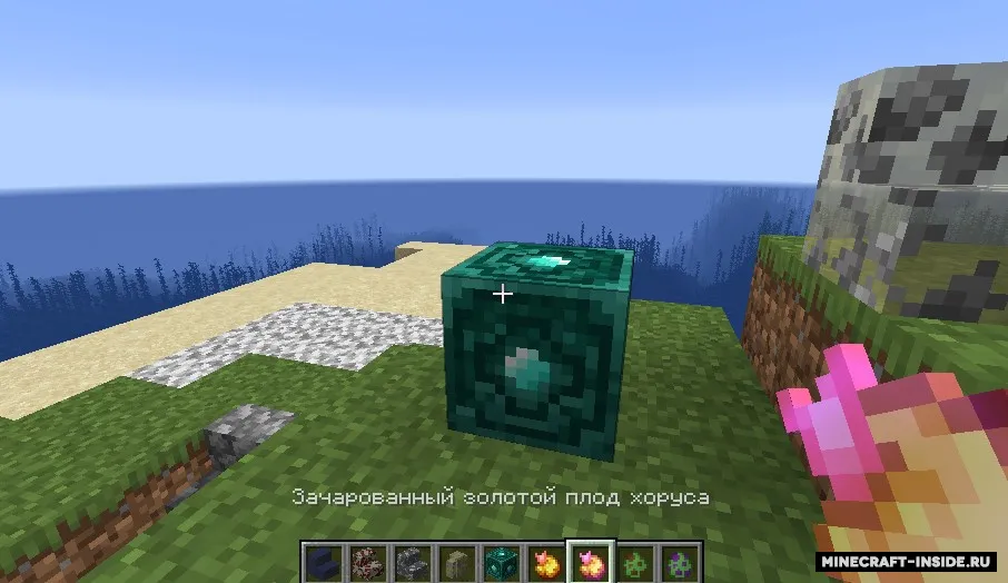 Chorus Warps — Minecraft mod, rasm 7