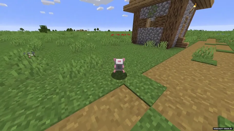 Rat's Mischief — Minecraft mod, rasm 3