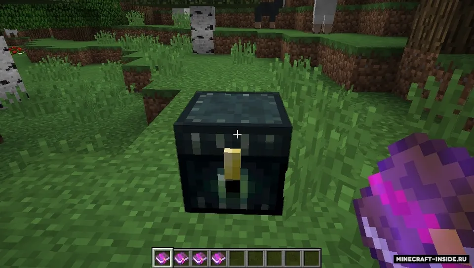 Enchantability — Minecraft mod, rasm 2