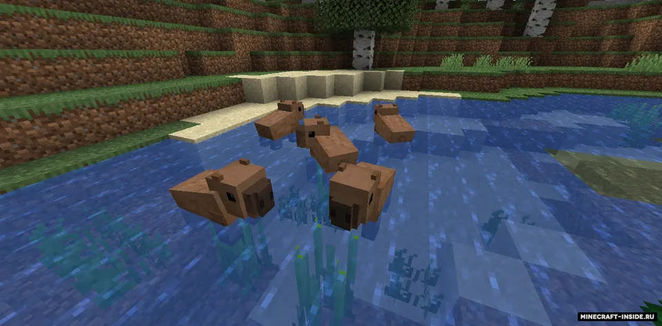 Brazilian Fields — Minecraft mod, rasm 5