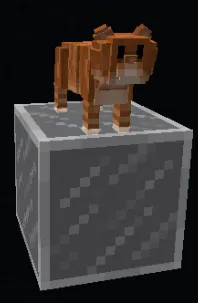 Animania Cats & Dogs — Minecraft mod, rasm 5