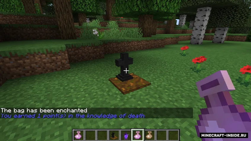 Travel Bag — Minecraft mod, rasm 3