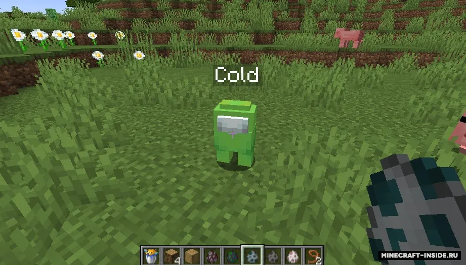 Crewmates — Minecraft mod, rasm 3