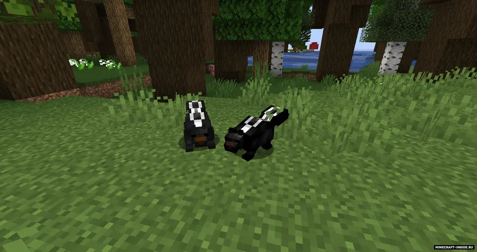 Colds: Skunks — Minecraft mod, rasm 3