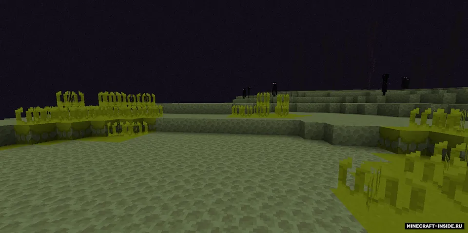 The Desertic End — Minecraft mod, rasm 2