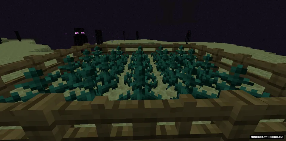 The Desertic End — Minecraft mod, rasm 4