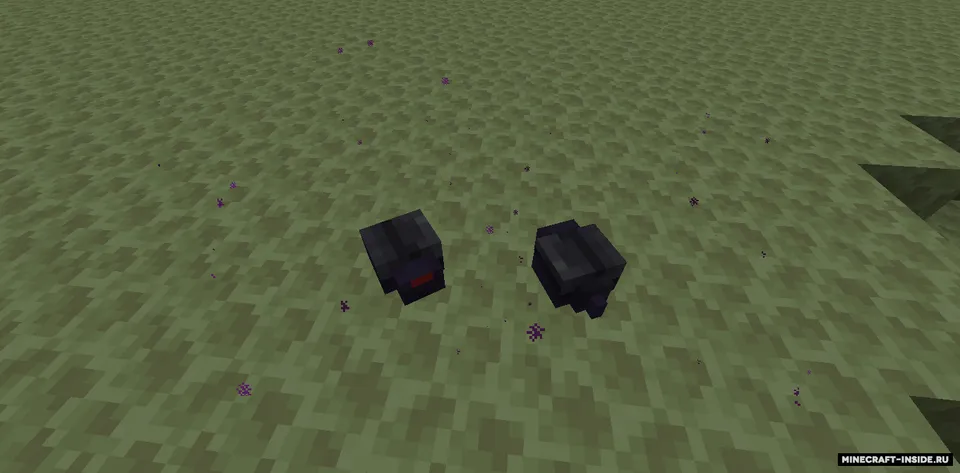 The Desertic End — Minecraft mod, rasm 6