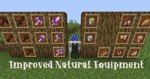 Improved Natural Equipment