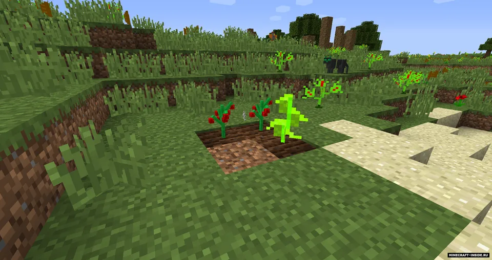 Fantastick World — Minecraft mod, rasm 3