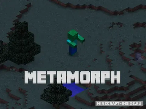 Metamorph