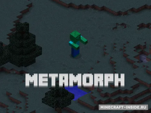 Metamorph — Minecraft mod, rasm 1