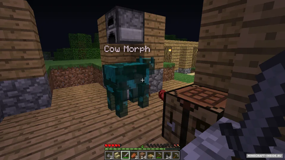 Metamorph — Minecraft mod, rasm 4