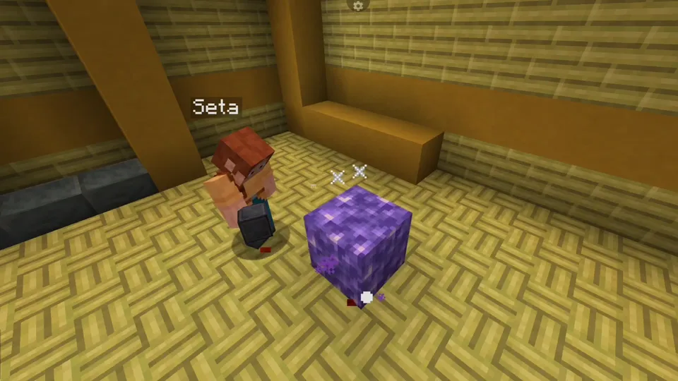 Blockin' - Place that Block! — Minecraft mod, rasm 4