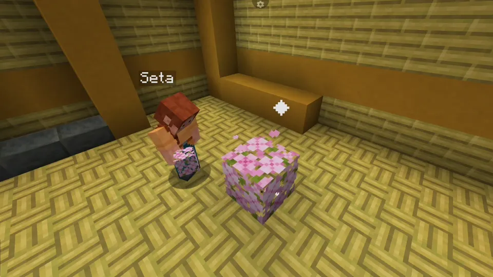 Blockin' - Place that Block! — Minecraft mod, rasm 5