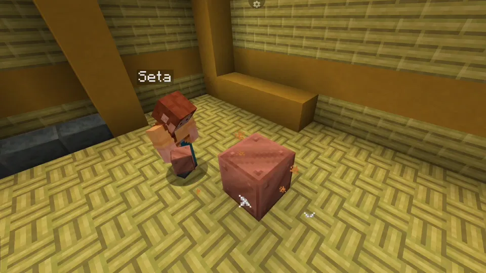 Blockin' - Place that Block! — Minecraft mod, rasm 8