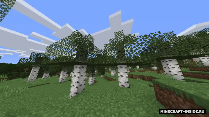 Cull Leaves — Minecraft mod, rasm 2