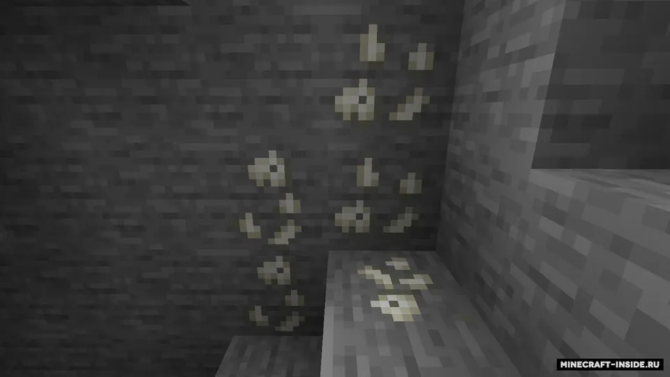 Fossil — Minecraft mod, rasm 2