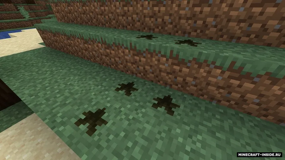 Fossil — Minecraft mod, rasm 3