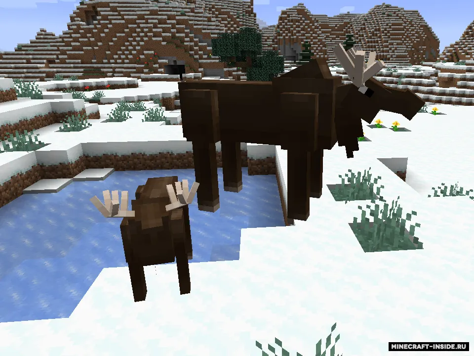 Alaska Native Craft — Minecraft mod, rasm 8