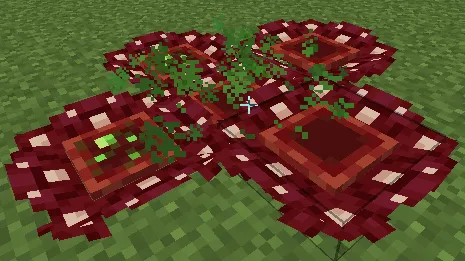 Bloom and Gloom — Minecraft mod, rasm 3