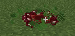Bloom and Gloom — Minecraft mod, rasm 5