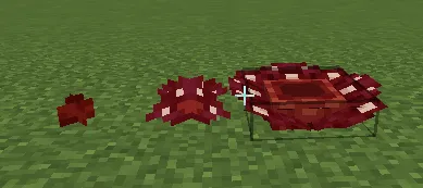 Bloom and Gloom — Minecraft mod, rasm 6