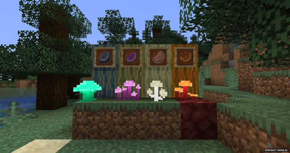 Wild Mushrooms — Minecraft mod, rasm 3