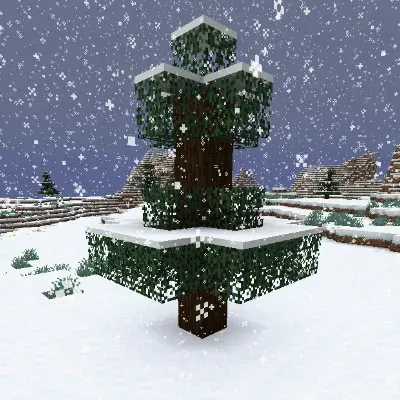 Snow Under Trees