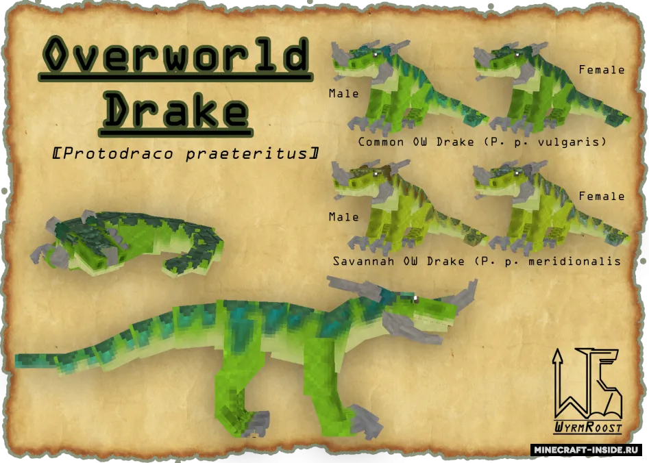 Wyrmroost — Minecraft mod, rasm 3