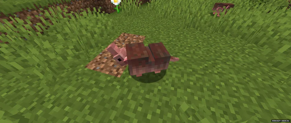 Hill Country — Minecraft mod, rasm 3