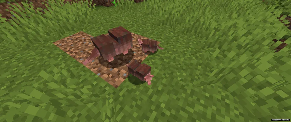 Hill Country — Minecraft mod, rasm 4