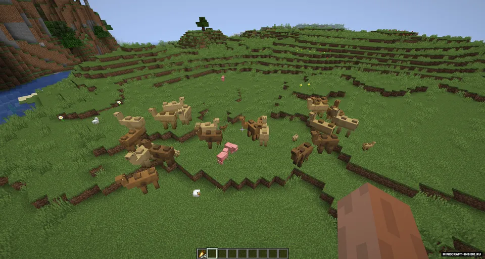 Camels — Minecraft mod, rasm 2