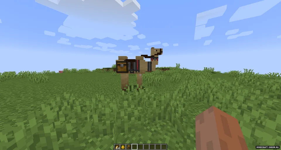 Camels — Minecraft mod, rasm 3