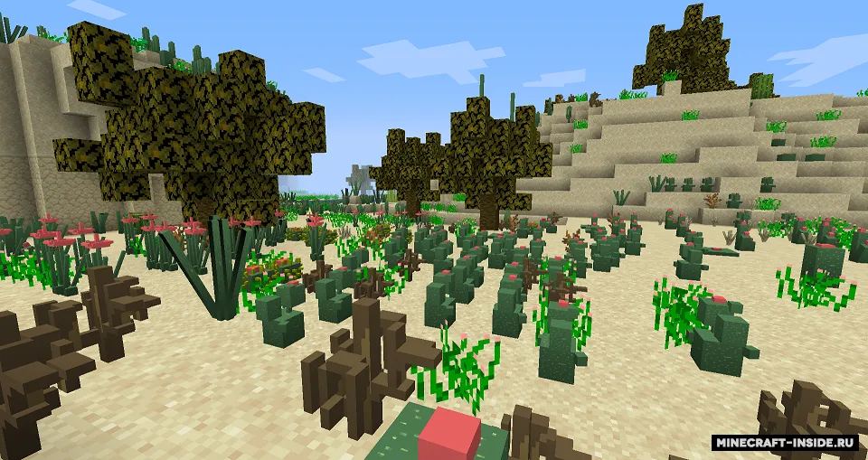 RealisticDesert — Minecraft mod, rasm 4