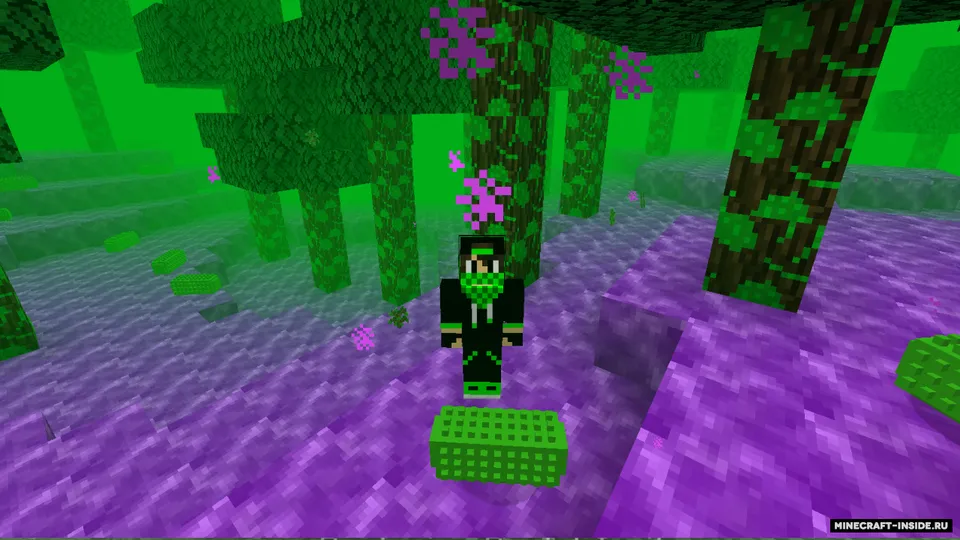 BacteriumCraft - Bakteriyalar modi — Minecraft mod, rasm 2
