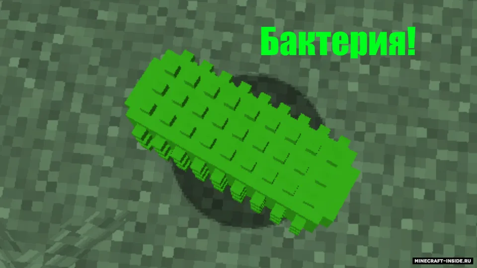 BacteriumCraft - Bakteriyalar modi — Minecraft mod, rasm 6