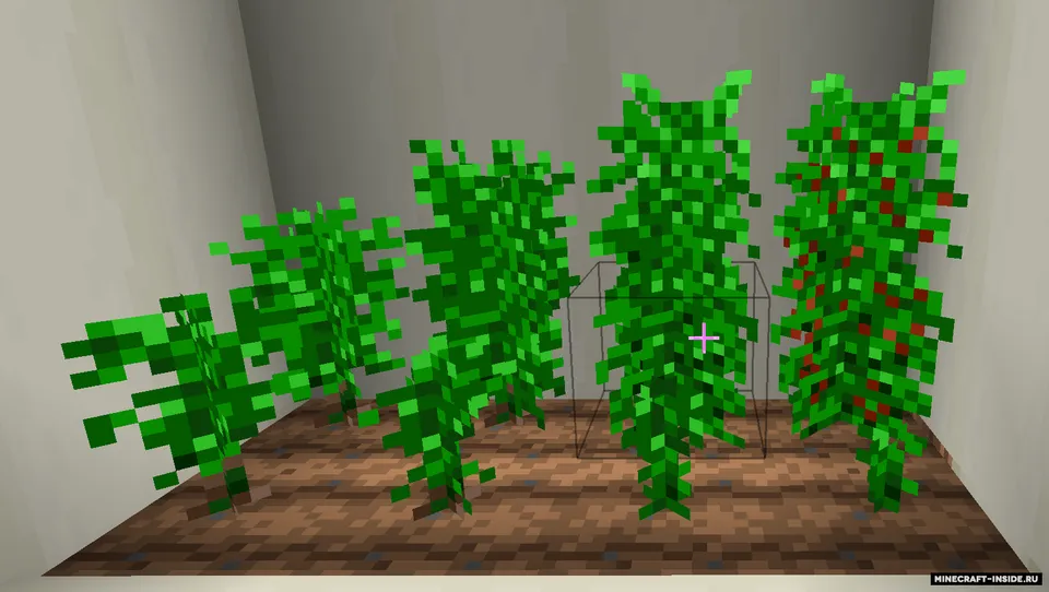 Coffee — Minecraft mod, rasm 2