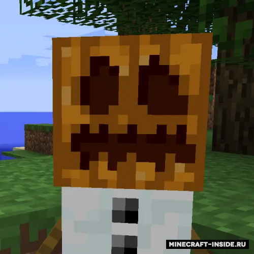 EnhancedSnowman — Minecraft mod, rasm 1