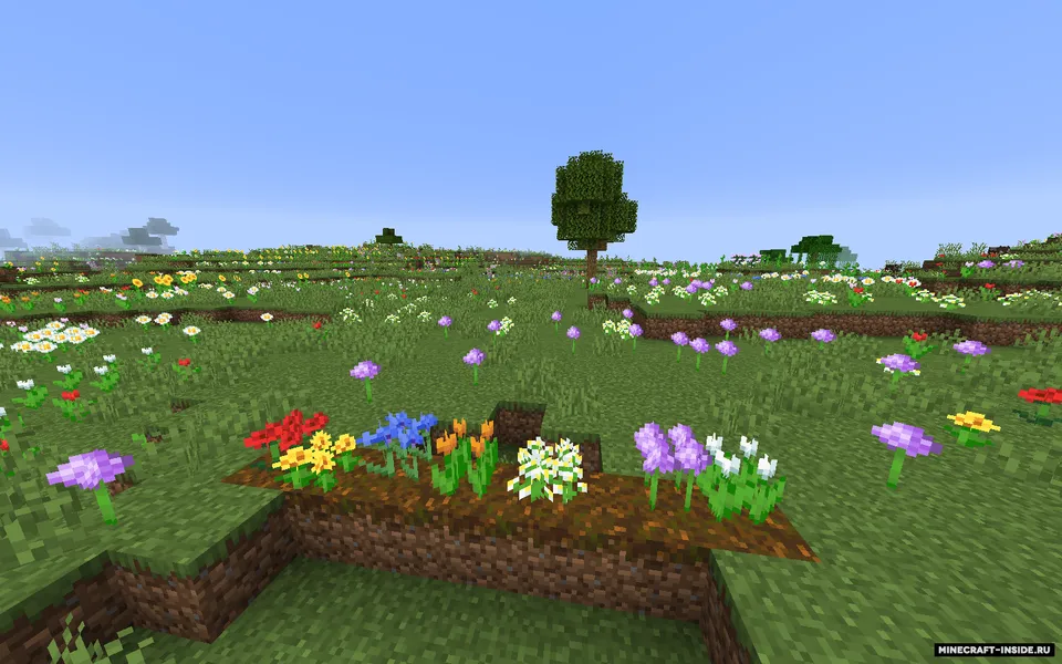 Omni — Minecraft mod, rasm 2