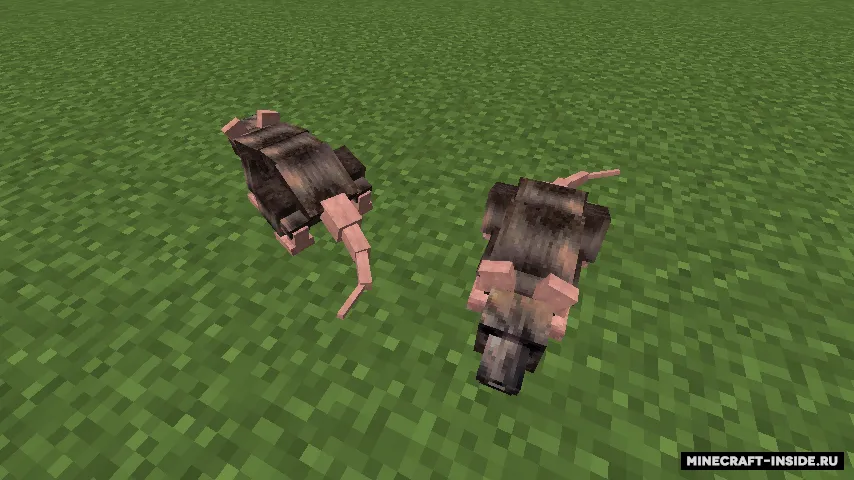Animalium — Minecraft mod, rasm 2