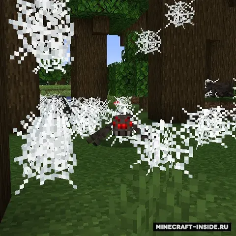 Spiders Produce Webs