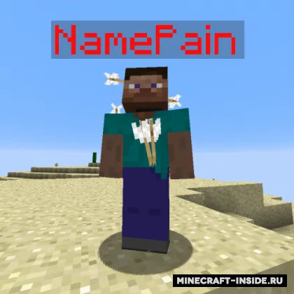 Name Pain — Minecraft mod, rasm 1