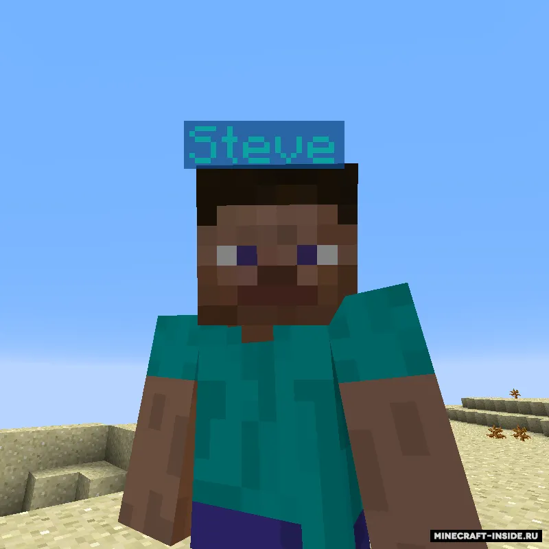 Name Pain — Minecraft mod, rasm 2