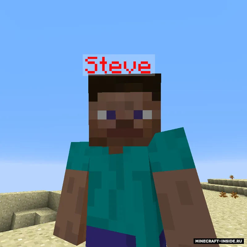 Name Pain — Minecraft mod, rasm 3